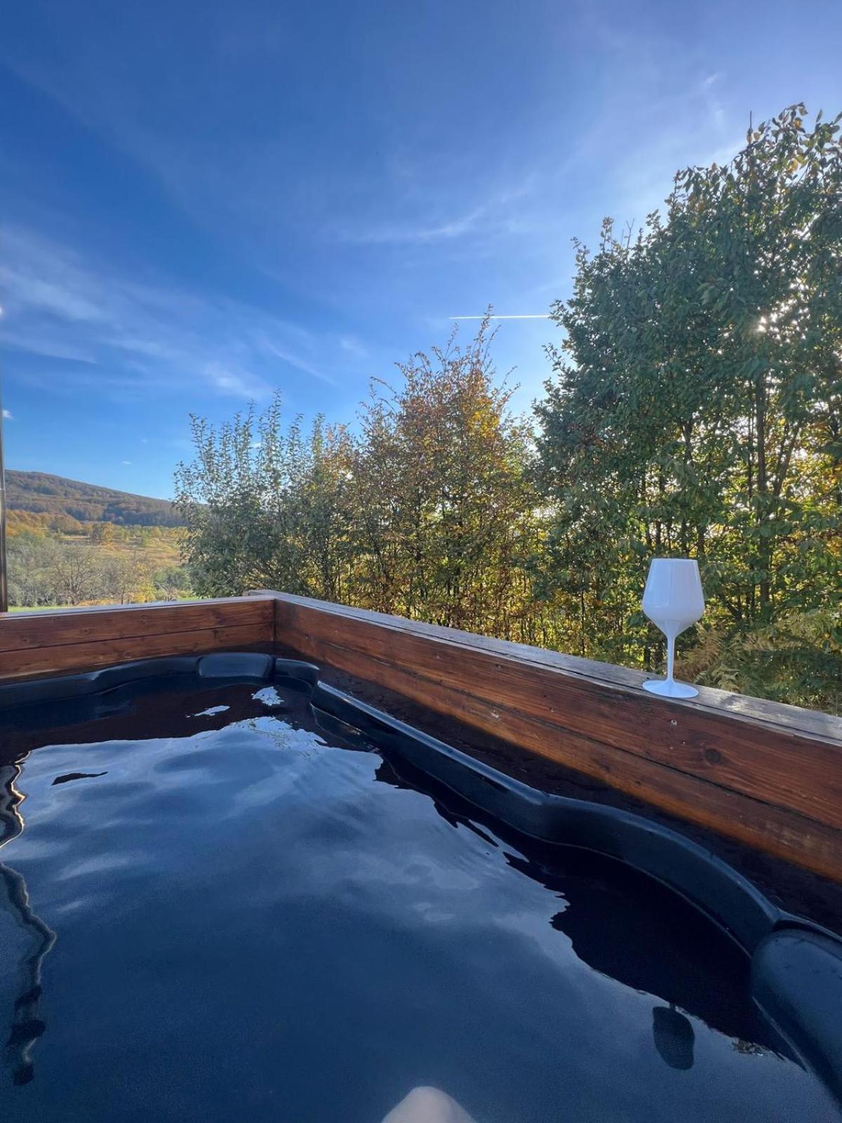 Le Chalet M - Cabana Cu O Panorama De Poveste. Surdesti  Extérieur photo
